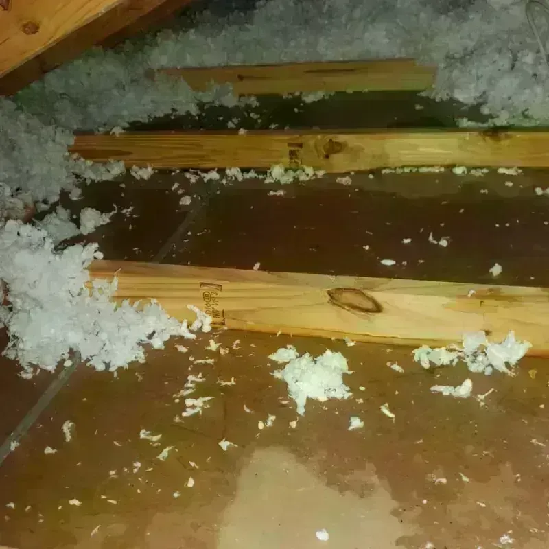 Attic Water Damage in Sun City, CA