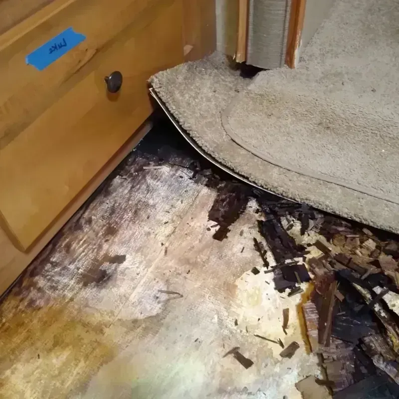 Wood Floor Water Damage in Sun City, CA